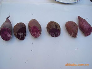 紫甘薯高效栽培技術(shù)轉(zhuǎn)讓 市場(chǎng)價(jià)值與專業(yè)平臺(tái)推薦