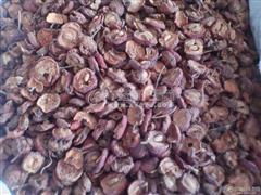 拓普康MS與生物制品 科技創新下的應用與前景